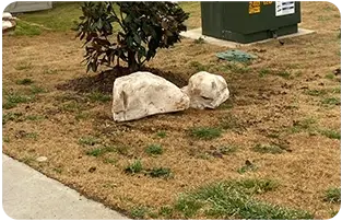 clc-tx: Granite