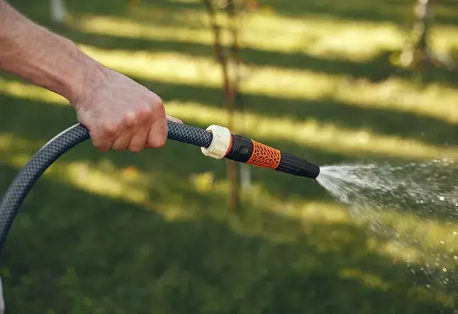 clc-tx: Lawn-Care-Weed-Control-Service
