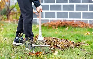 clc-tx: Leaf Removal