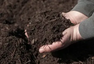 clc-tx: Mulch Installation Natural Hardwood Mulch