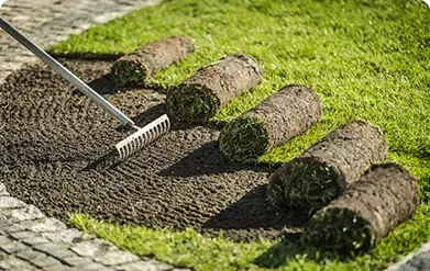 clc-tx: Reshape Landscape Beds
