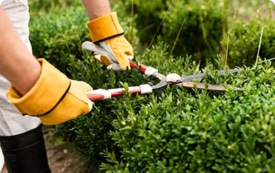 clc-tx: Trimming