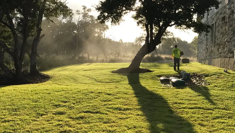 Regular mowing