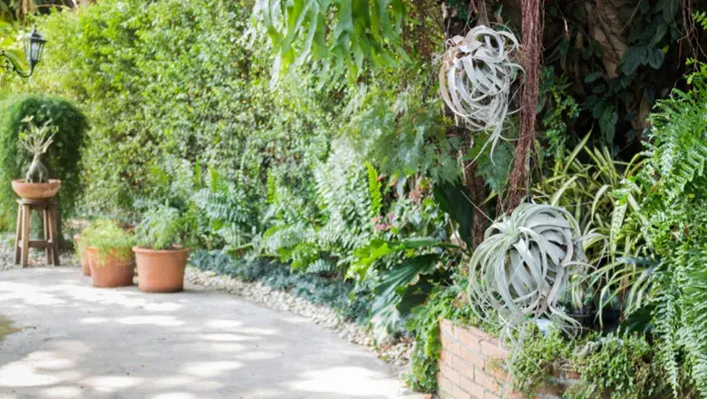 Precautions-for-Safety-Maintenance-for-Trees