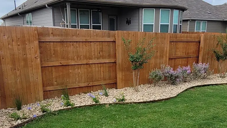 Professional-tree-and-lawn-care