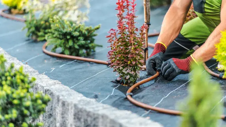 Watering-Guidelines